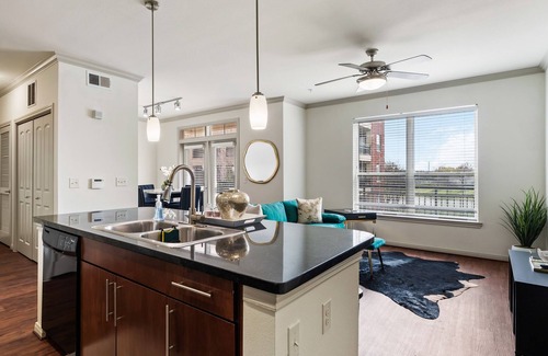 South Main Apartment | Med Center Modern Queen Suite