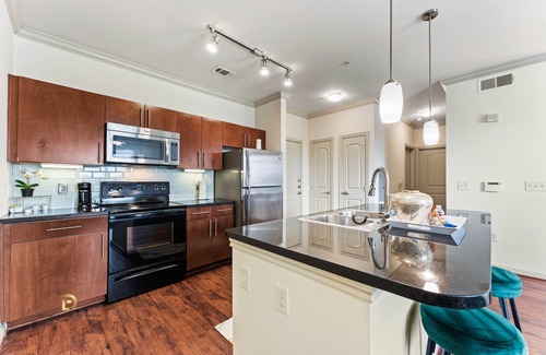South Main Apartment | Med Center Modern Queen Suite