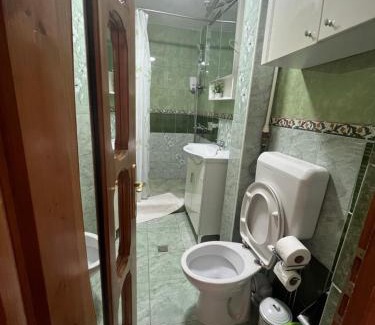 Zalau Apartment | Medeea 1 camera Astralis