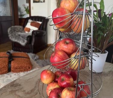 Gols House | Mediterrane Ferien Villa am Neusiedler See