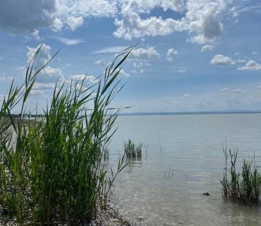 Gols House | Mediterrane Ferien Villa am Neusiedler See
