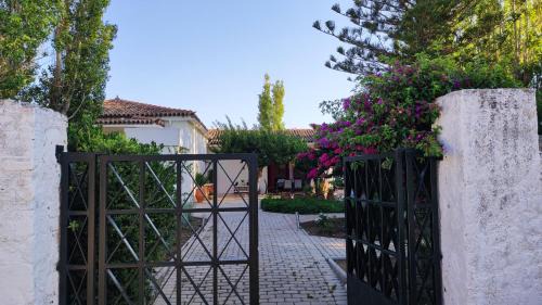 Karlovassi Villa | Mediterranean house with beautiful garden