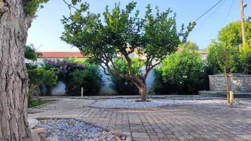 Karlovassi Villa | Mediterranean house with beautiful garden