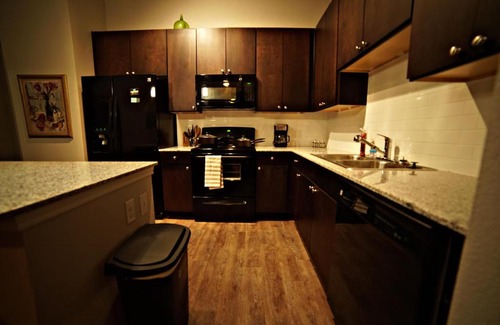South Main Apartment | Medtropolis Medical Center/Downtown/Galleria/NRG