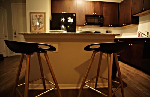 South Main Apartment | Medtropolis Medical Center/Downtown/Galleria/NRG