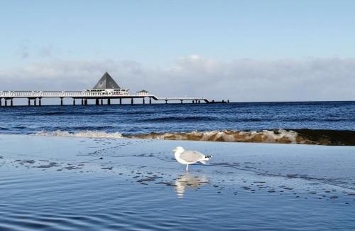 Heringsdorf Hotel | Meeressterne Hotel Residenz in Heringsdorf