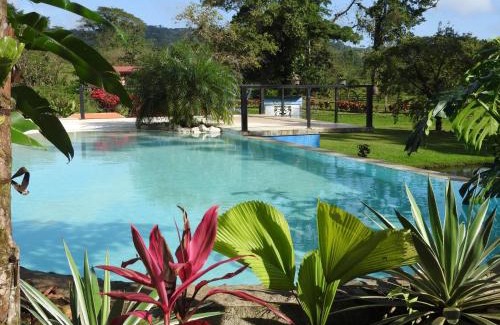 Bijagua Bed & Breakfast | Mei Tai Cacao Lodge