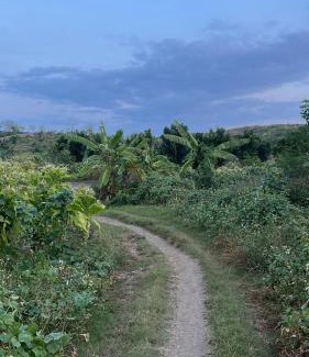 Jerowaru Hotel | Melody Ekas Lombok