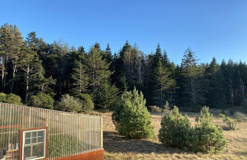 Mendocino House | MENDOCINO LUXURY OCEAN VIEW COASTAL ESTATE, DOG FRIENDLY, 1 MILE TO VILLAGE!