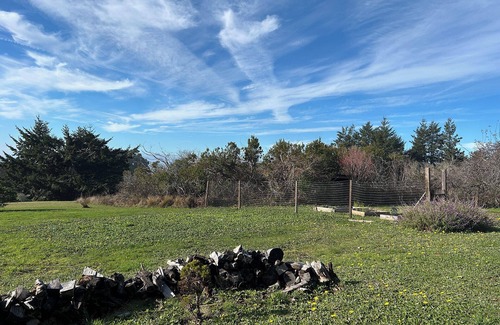 Mendocino Apartment | Mendocino Private Studio Pet Friendly Full Kitchen