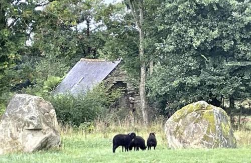 Plouec-du-Trieux Apartment | Menhirs et Moutons Ouessant