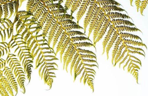 Garsfontein Hotel | Menlyn Apartments