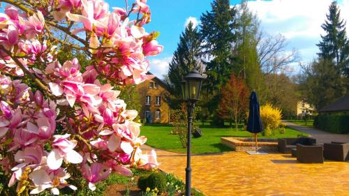 Meddersheim Resort | Menschels Vitalresort