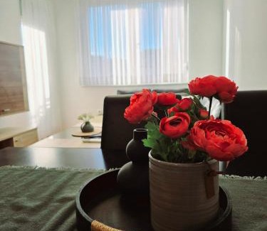 Mostar Apartment | Mepas Galaxy