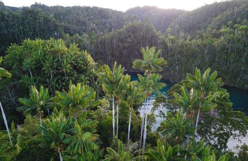 Waisai Resort | Meridian Adventure Marina Club & Resort