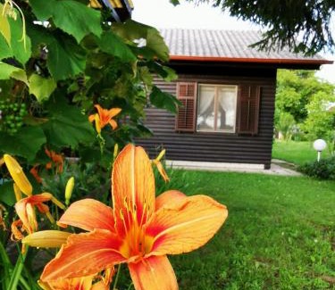 Hrastnik Ski Chalet | MERIKOTKA - a cozy wooden cottage, sLOVEnia