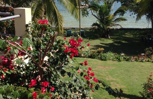 Corozal House | Mermaid Manor! An Island, Pool and Tropical Heaven!