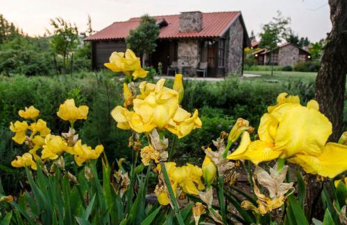 Merom Golan Hotel | Merom Golan Resort