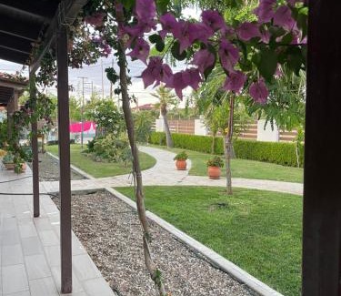 Pineios Apartment | Merovili Μικρές Ενοικιαζόμενες Κατοικίες