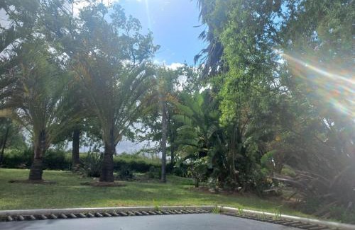 Bonnievale Bed & Breakfast | Merwenstein - Farm House, Cottages, Studio-Units