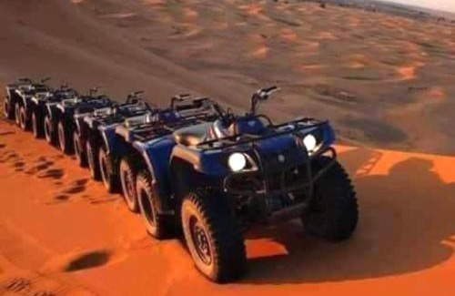 Taouz Other | Merzouga Tours
