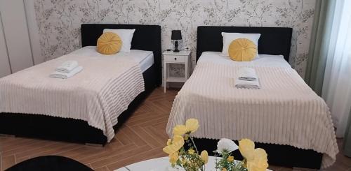 Stalowa Wola Bed & Breakfast | Metalowiec