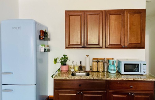 Central Northeast Apartment | Metro! Sunny Big 2 Bdrm w/King Bed & Dog Friendly