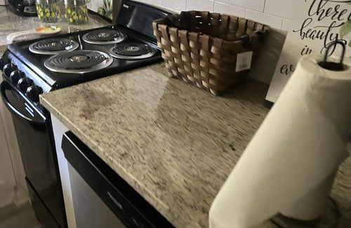 Huntsville Apartment | Metro World 2 Bdrm near Dwntwn Huntsville Med. District, Lowe Mills, UAH/OU/A&M