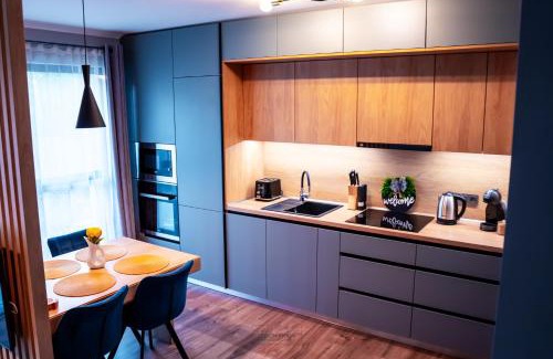 Tirgu Mures Apartment | Metropolitan Escape