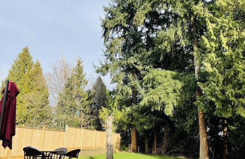 Burnaby Apartment | Metrotown sweet home