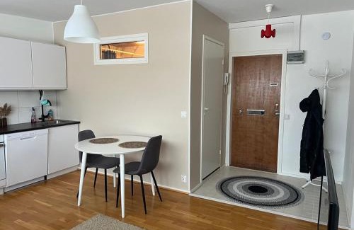 Kokkola Apartment | Metsästäjänkadun yksiö