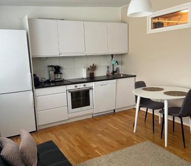 Kokkola Apartment | Metsästäjänkadun yksiö