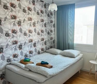 Kokkola Apartment | Metsästäjänkadun yksiö