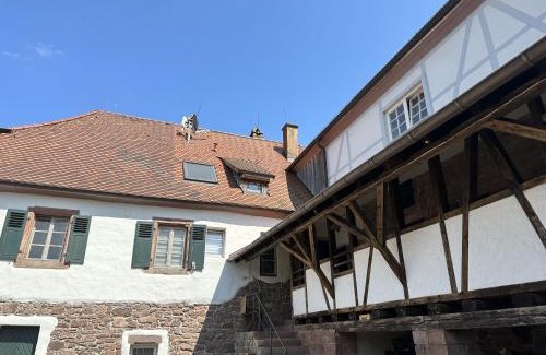 Muritz Apartment | Metzlinschwander Hof