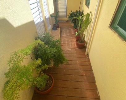 Boldro House | Meu Cantinho na ilha