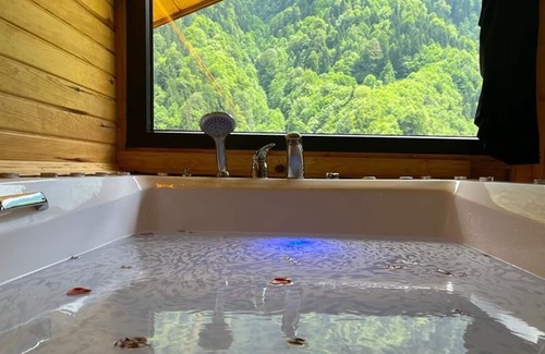 Camlihemsin Apartment | Meydan Şelale Apart is located in Çamlıhemşin, Rize, Turkey.