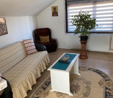 Pirot Apartment | Mićin dom