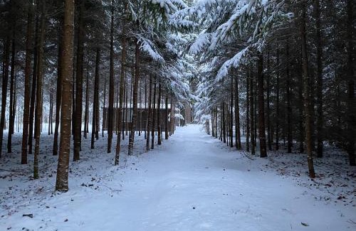 Kurtuvenai House | Miško sielos namelis su pirtele