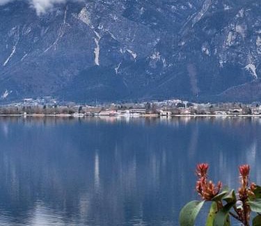 Pergine Valsugana Apartment | Mi'Ele Apartments