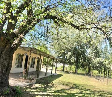 Junin Apartment | Mi paraíso verde