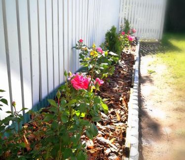 Haljala Apartment | Mia Guesthouse