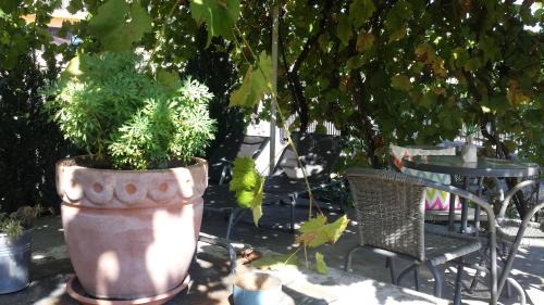 Rubesi Apartment | Mia