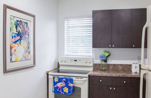 Buena Vista Apartment | Miami Designer Studio # 1