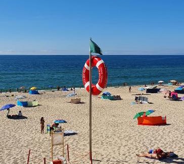 Praia de Mira Apartment | Miau Beach Apartment - Pet Friendly