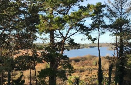 Loughrea House | Mick's Cottage