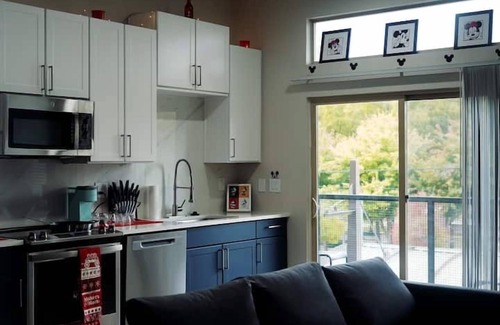 Deep Ellum Apartment | Mickey Magical 1BR Soft-Loft Deep Ellum