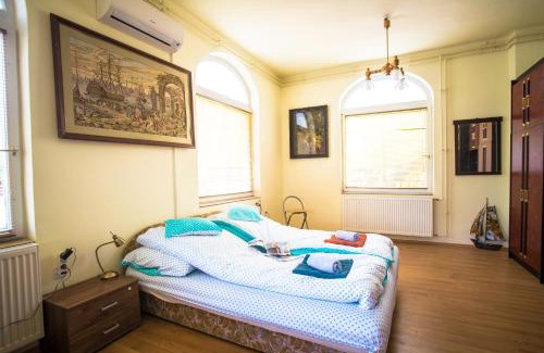 Tiszakecske Apartment | Mickey's Thermal Apartments