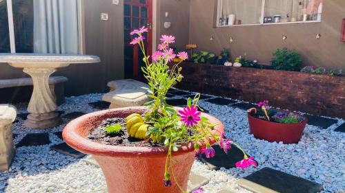 Pretoria Bed & Breakfast | Micnels B & B