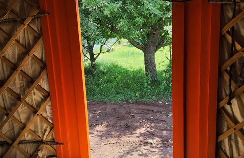 Hergarten Bed & Breakfast | Micro adventure yurt
