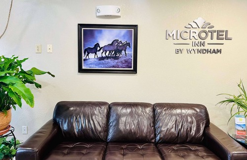 Georgetown Hotel | Microtel Inn by Wyndham Georgetown